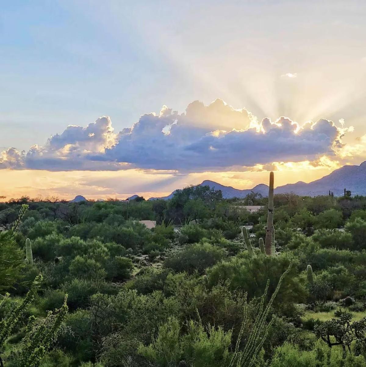 Luxury 3Bd 2Ba Home Near Tucson With Desert Views - Low Summer Rates! ออโรแวลลีย์ ภายนอก รูปภาพ