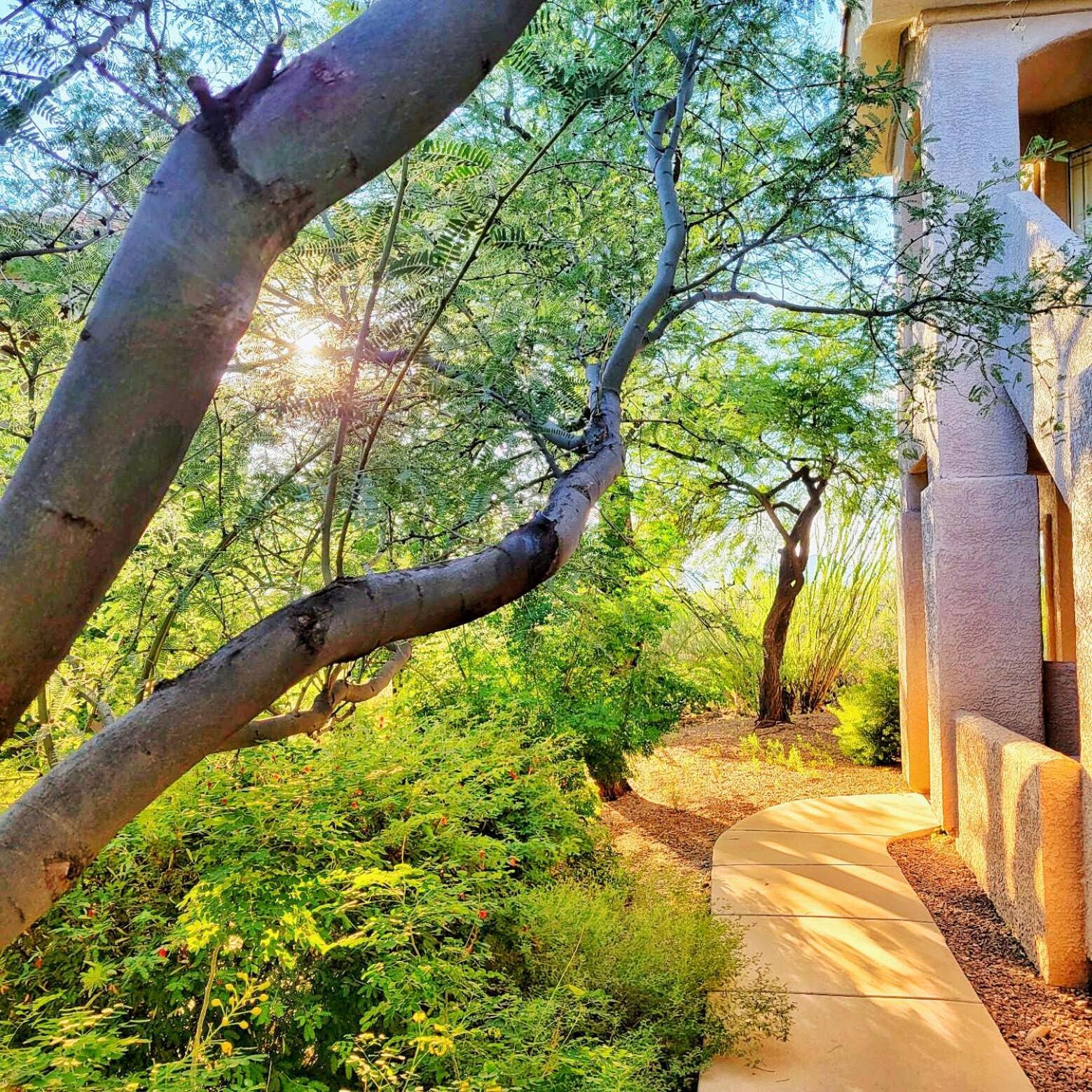 Luxury 3Bd 2Ba Home Near Tucson With Desert Views - Low Summer Rates! ออโรแวลลีย์ ภายนอก รูปภาพ